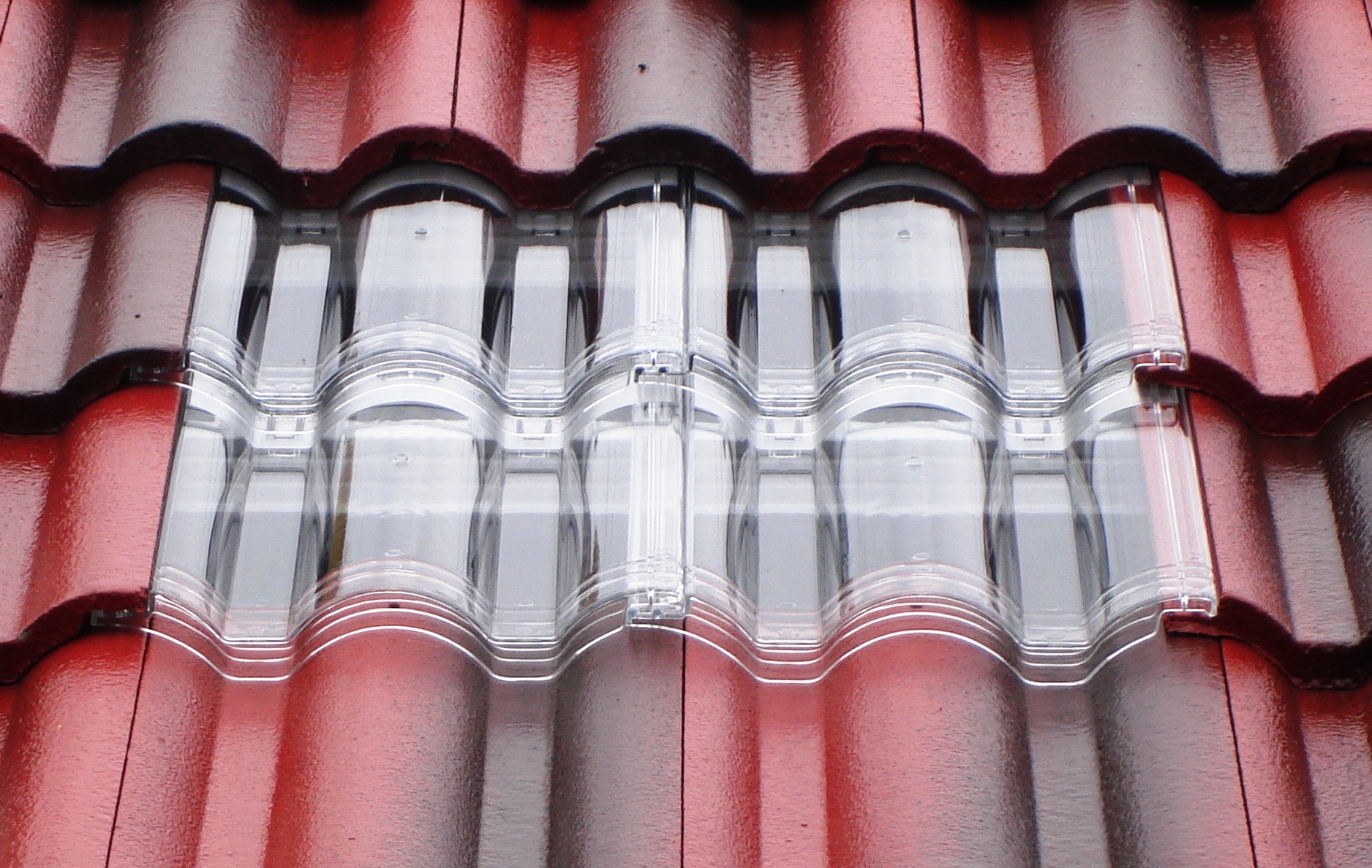 ngoi lay sang cung cap